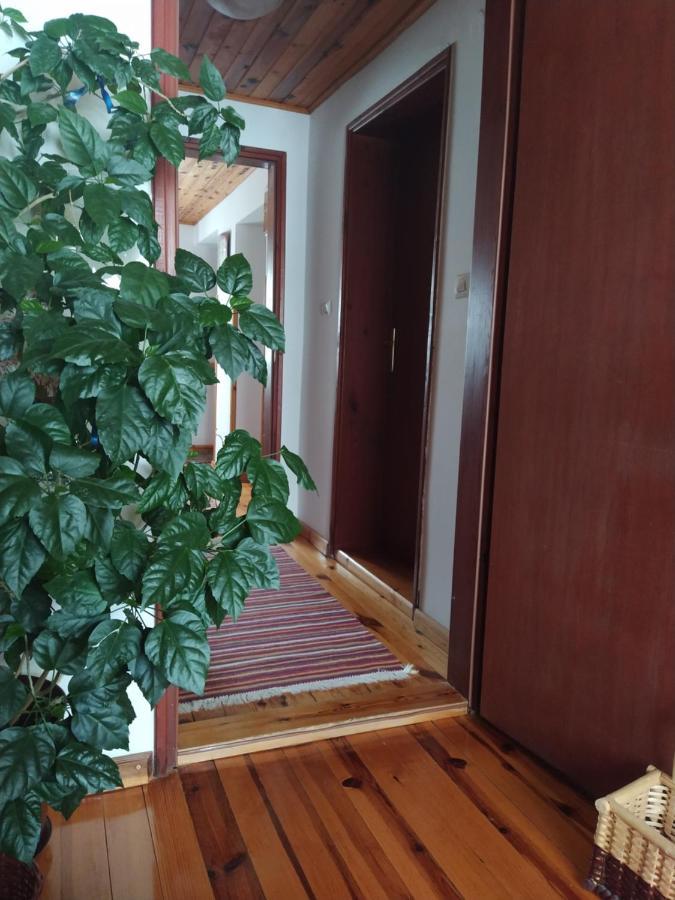 Apartmani Milic Sirogojno Exterior photo